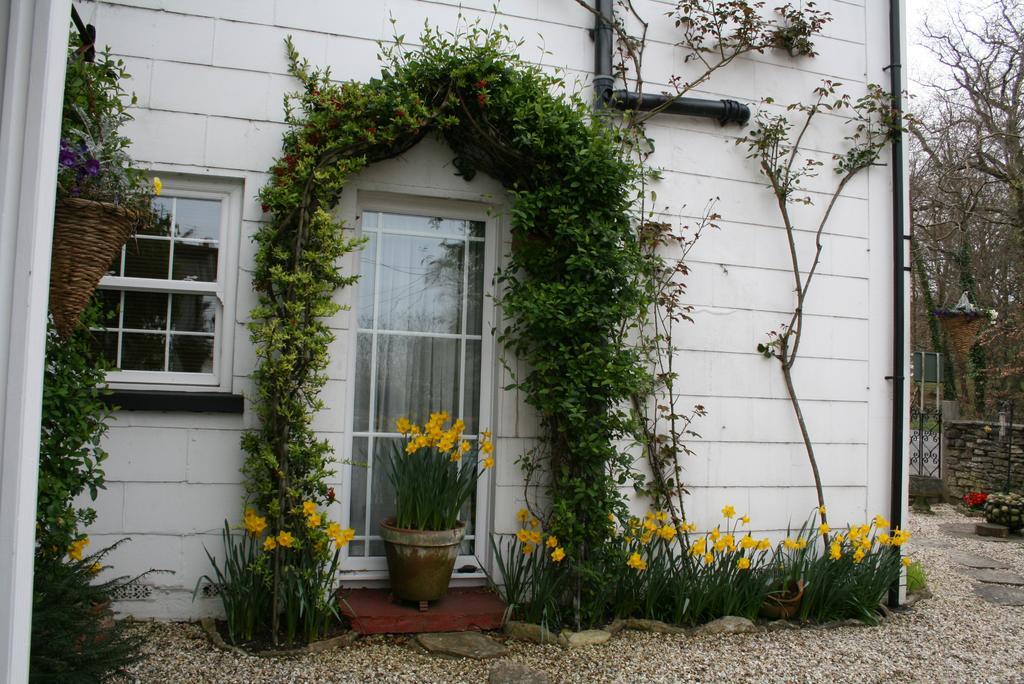 Clayhill House Bed & Breakfast リンドハースト エクステリア 写真